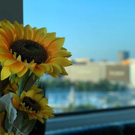 فندق مبيت وإفطار Penthouse Group 4 4*