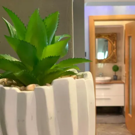 Penthouse Group 4 Bed & Breakfast