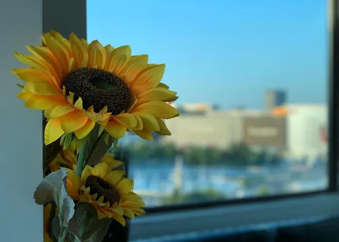 Couette-café Penthouse Group 4 4*