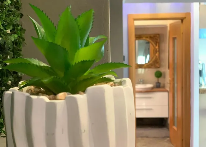 Penthouse Group 4 Bed & Breakfast